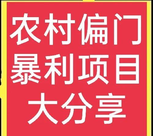 一個(gè)月入5萬的偏門項(xiàng)目（一天賺30000的暴利偏門）