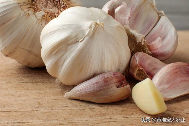 現(xiàn)在大蒜的價格是多少錢一斤（現(xiàn)在大蒜多少錢一斤市場價）