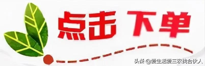 窮人創(chuàng)業(yè)項目能賺100萬，窮人創(chuàng)業(yè)項目有哪些？