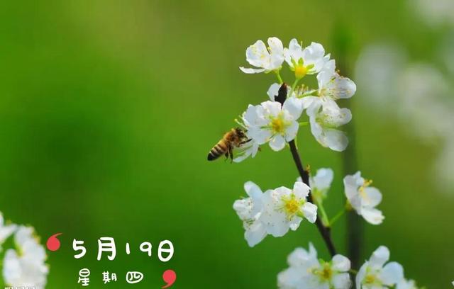 企鵝號怎么注冊能有收益（企鵝號怎么注冊容易通過）