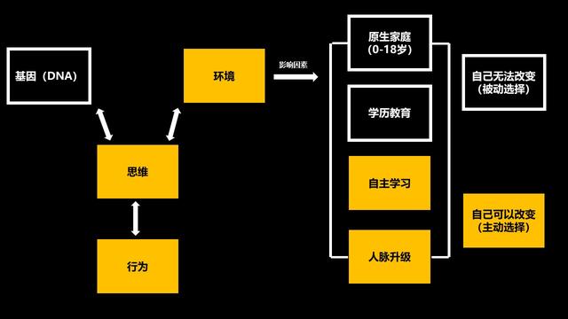 輕創(chuàng)業(yè)有哪些項(xiàng)目組成，輕創(chuàng)業(yè)有哪些項(xiàng)目可以選擇？