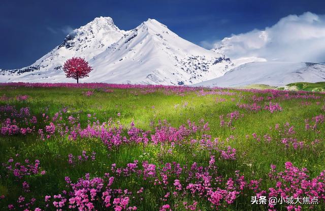 全國少數(shù)民族人口排名2021（2021年中國各民族人口排名）