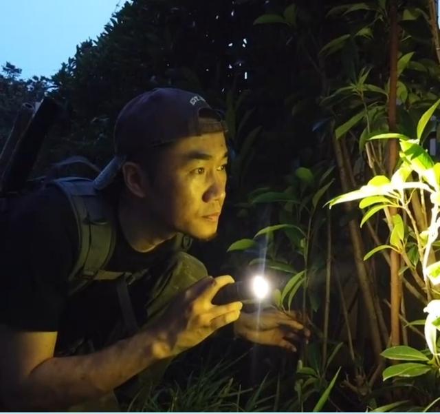 懸賞貓賺錢是真的嗎安全嗎，懸賞貓賺錢是真的嗎安全嗎？
