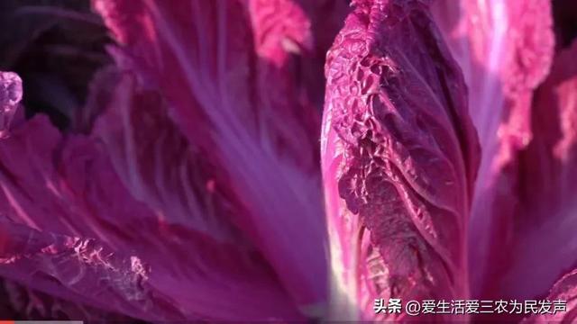 想做點小生意投資少的，現(xiàn)在做啥生意掙錢投資少？