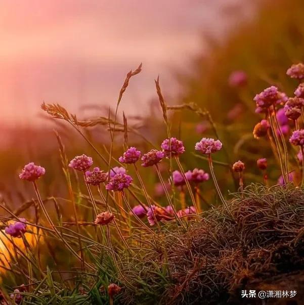 怎樣熱門漲粉絲（快手如何快速漲粉上熱門）