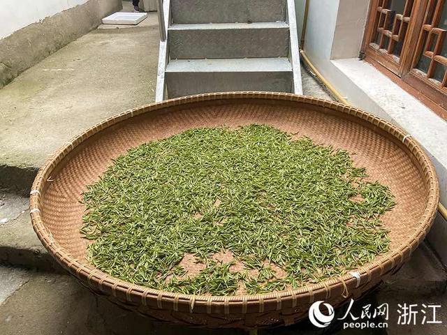 杭州微信喝茶群去哪里找，杭州喝茶vx群