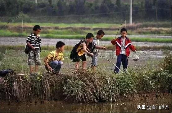 龍蝦發(fā)朋友圈怎么發(fā)，賣龍蝦發(fā)朋友圈怎么說？