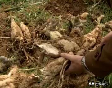 走投無路了找快速賺錢路子2020（走投無路了怎么快速賺錢）