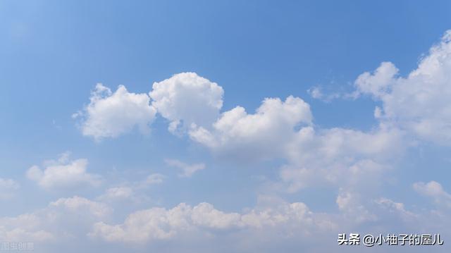 自媒體運(yùn)營計(jì)劃方案（自媒體運(yùn)營培訓(xùn)機(jī)構(gòu)）