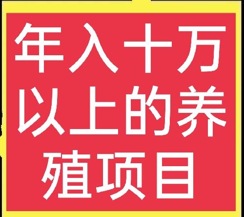 創(chuàng)業(yè)養(yǎng)殖業(yè)，創(chuàng)業(yè)養(yǎng)殖致富項目有哪些？