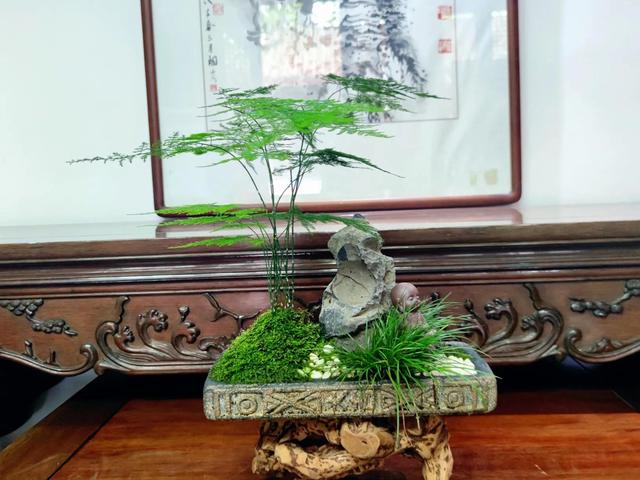 經(jīng)常發(fā)花草朋友圈的女生，朋友圈愛發(fā)花花草草的女人？