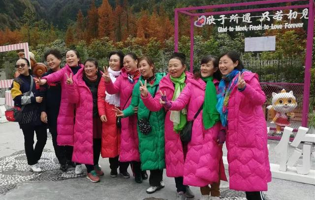 七朵蓮花足道正規(guī)嗎（七朵蓮花足道公司簡介）