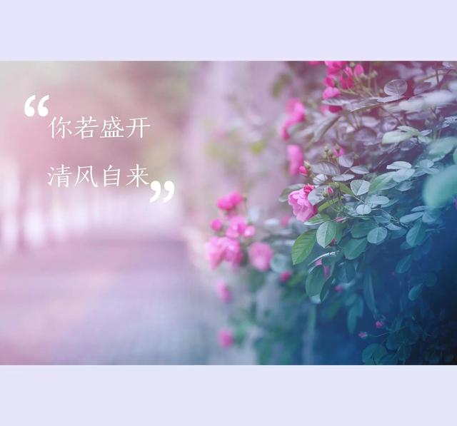 與客戶發(fā)生的小故事，銷售客戶案例分享？