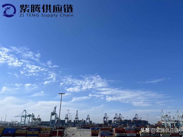 報關(guān)行（報關(guān)行有哪些公司）