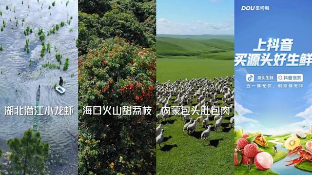 抖音的嘉年華多少人民幣，抖音一個嘉年華多少錢主播收多少錢？