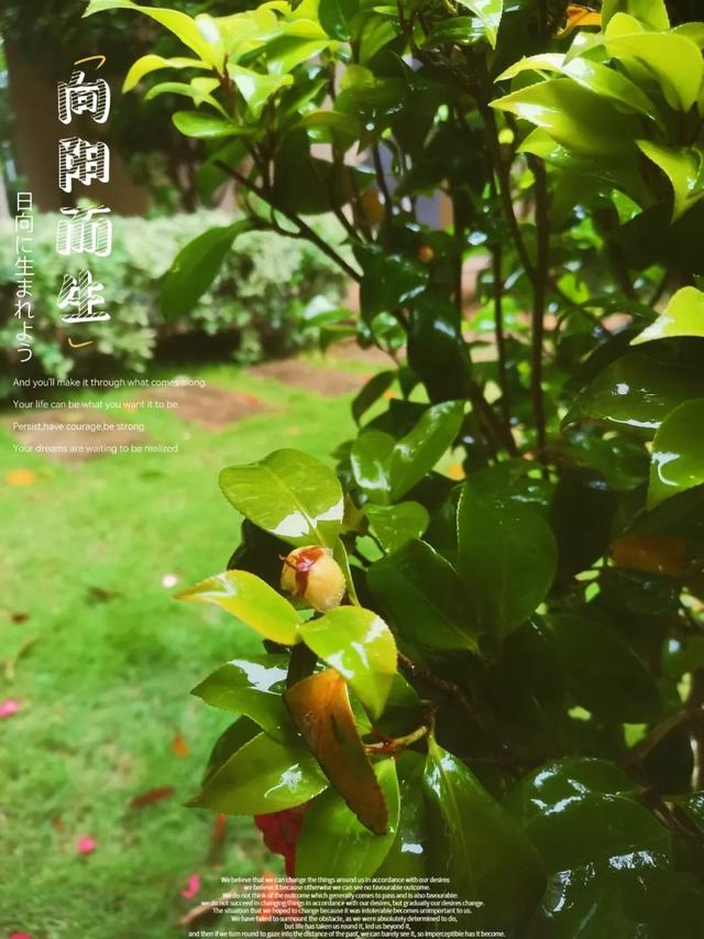 公眾號(hào)怎么制作流程（公眾號(hào)制作的流程）