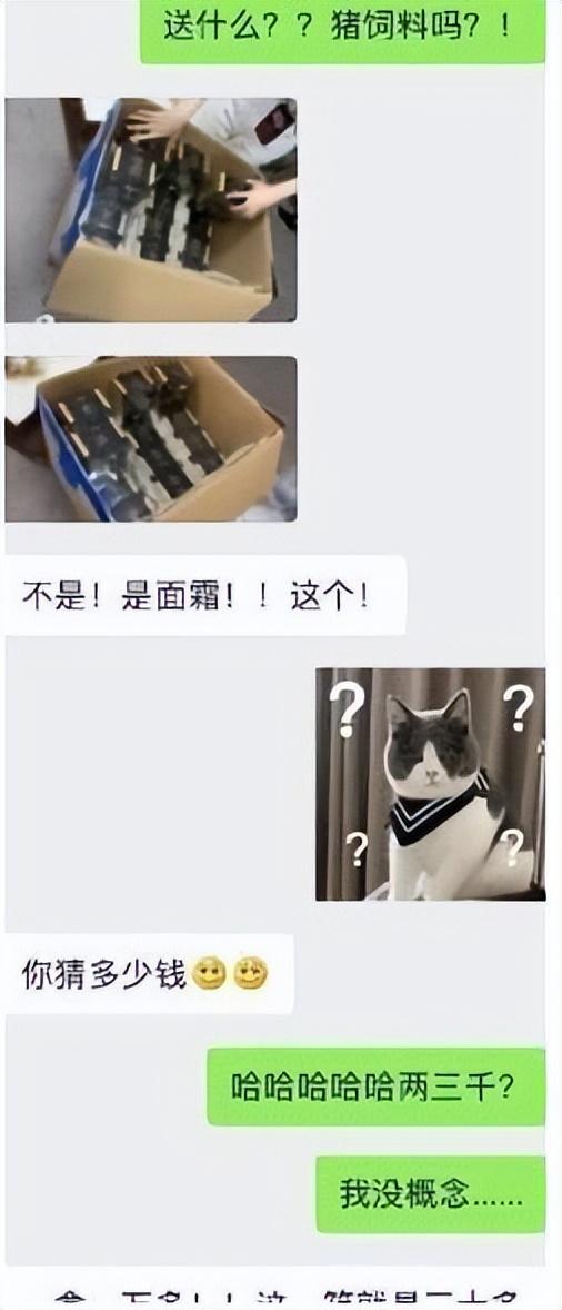 楊子姍（楊子榮）