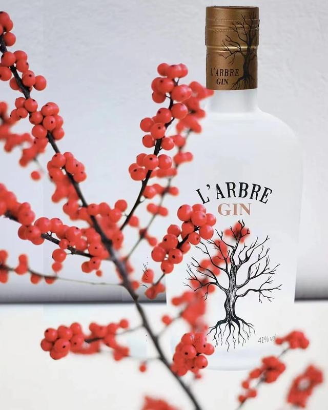 金湯力 金酒和湯力水配比（金湯力是烈酒嗎）