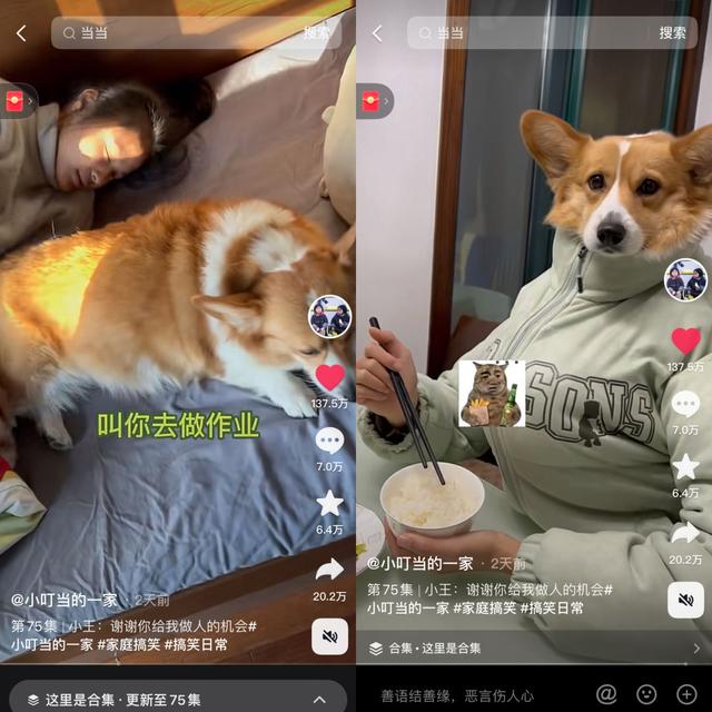 蘋果手機(jī)抖音移除粉絲后怎么拉回來，抖音移除粉絲還能恢復(fù)嗎？
