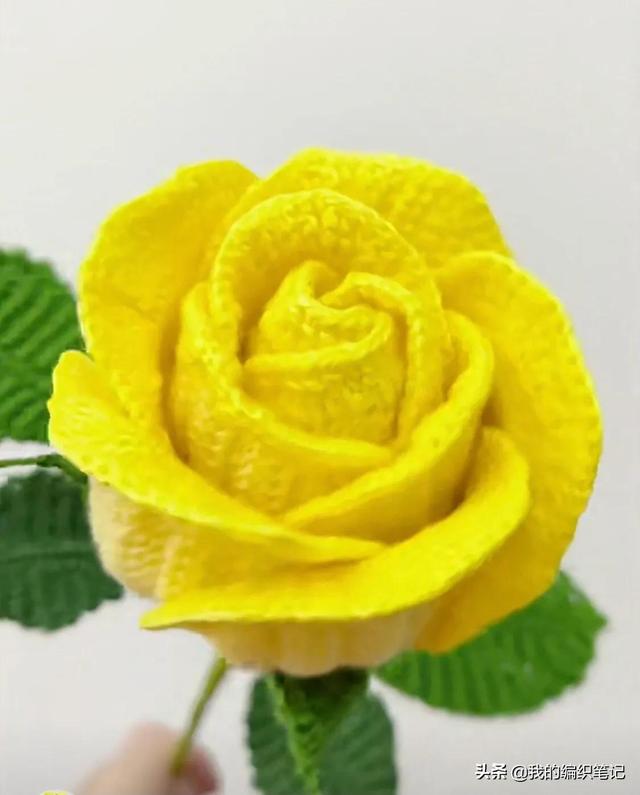 微信玫瑰花擺心形一行十個(gè)，微信玫瑰花擺心形一行9個(gè)？