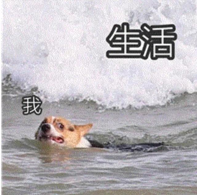 電商客服做了10天后悔了怎么辦（電商客服做了10天后悔了嗎）
