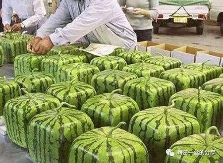 房地產(chǎn)銷售手段（美女這種銷售手段）