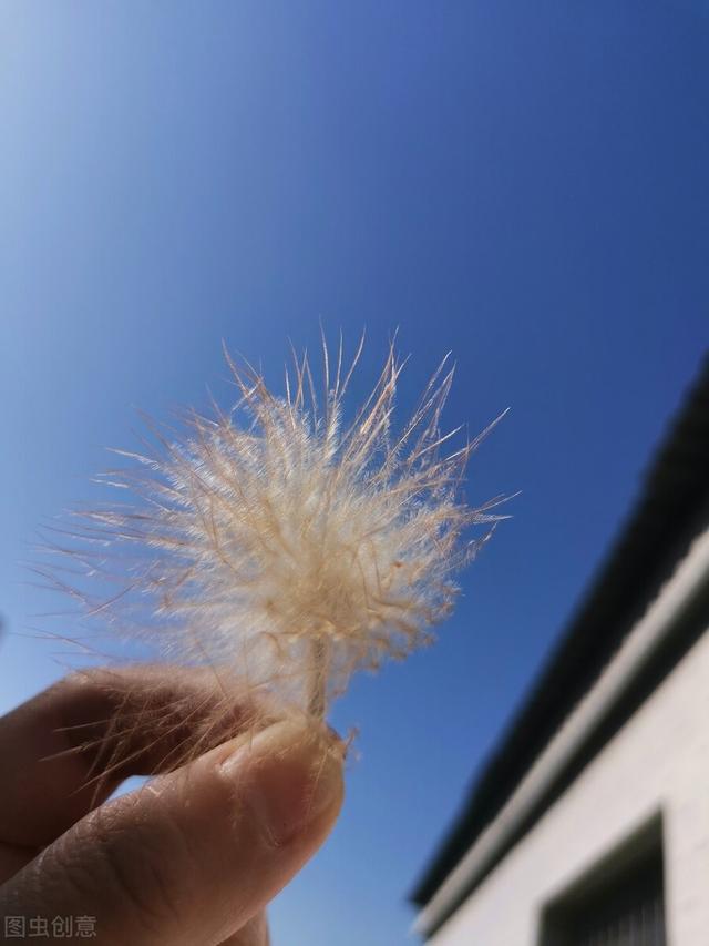寶媽怎樣賺錢最快現(xiàn)實(shí)點(diǎn)的（怎樣賺錢最快現(xiàn)實(shí)點(diǎn)的學(xué)生）