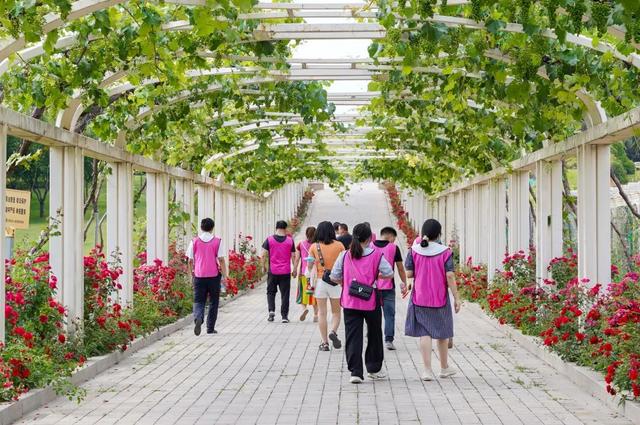 端午節(jié)公司團建活動方案成本（端午節(jié)公司團建活動方案名稱）