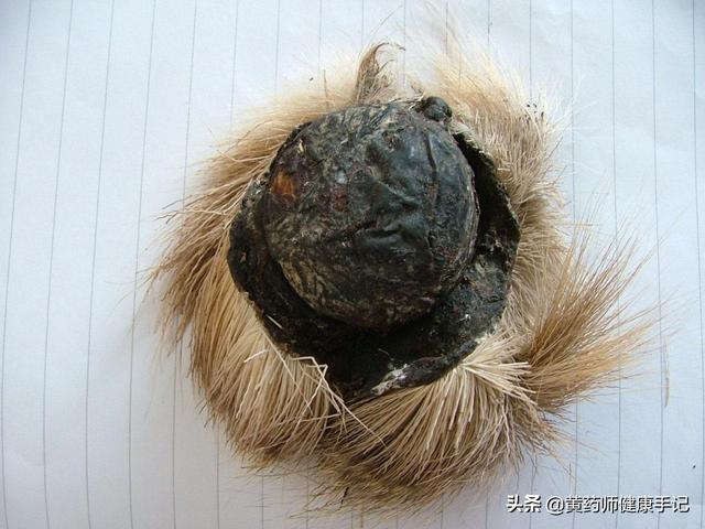 穿心蓮內(nèi)酯滴丸孕婦可以吃嗎_（穿心蓮滴丸孕婦可以吃嗎）