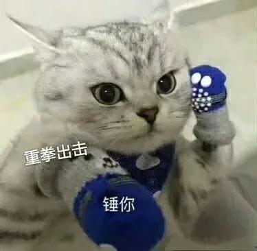 現(xiàn)實中唯唯諾諾網絡上重拳出擊是什么意思表情包下載（網絡上重拳出擊 現(xiàn)實中唯唯諾諾什么意思）