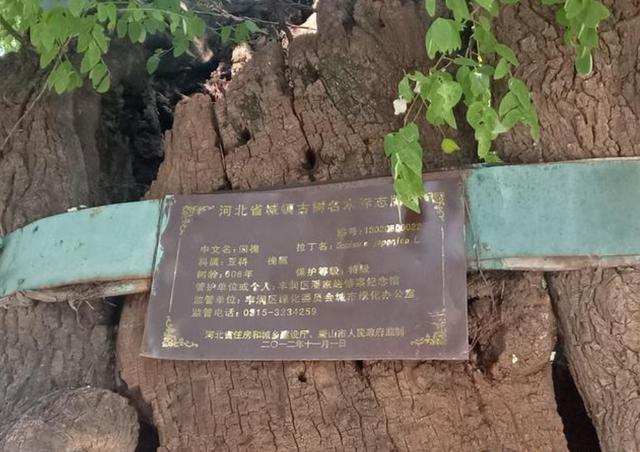 奇聞異事素材庫(kù)（奇聞異事素材下載）