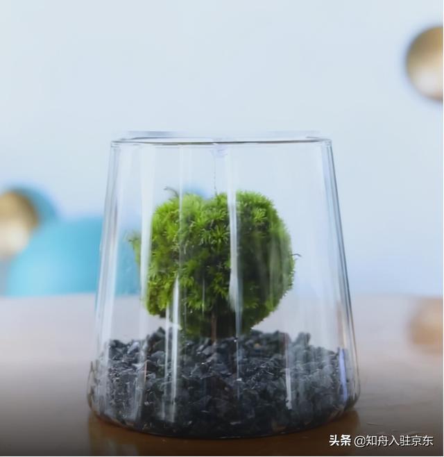 抖音賣出去的傭金在哪里（抖音賣東西傭金是多少）