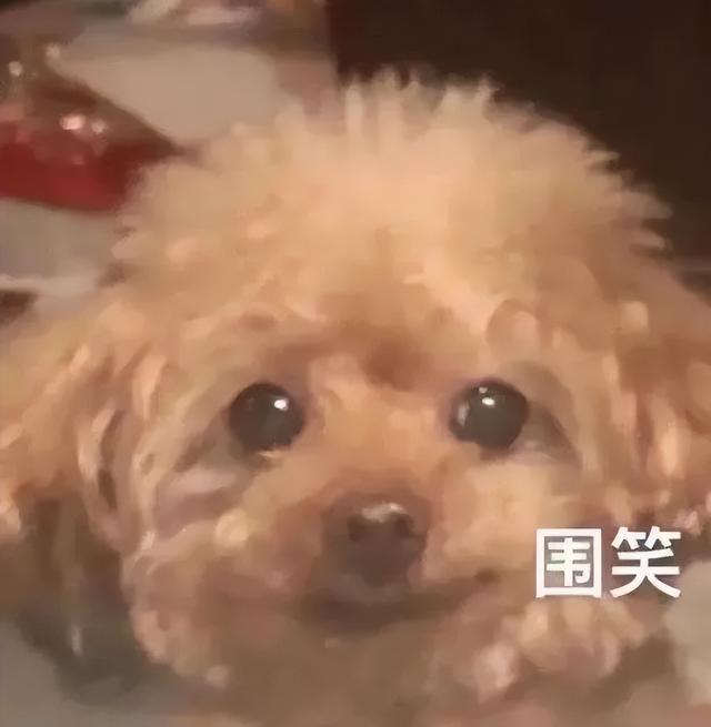 視頻審核員在線兼職是真的嗎知乎，線上視頻審核員兼職？