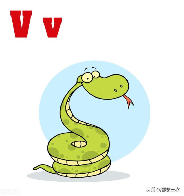 屬豬和什么屬相最不配（屬豬的和什么不配）