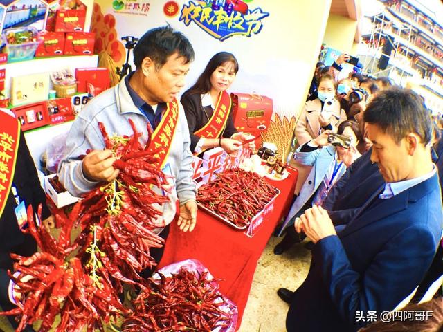 現(xiàn)在做什么生意比較賺錢而且好上手不要文憑（現(xiàn)在做什么生意比較賺錢女生適合做什么生意）