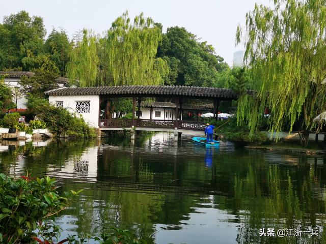 澳龍多少錢一斤市場價(現(xiàn)在澳龍多少錢一斤)