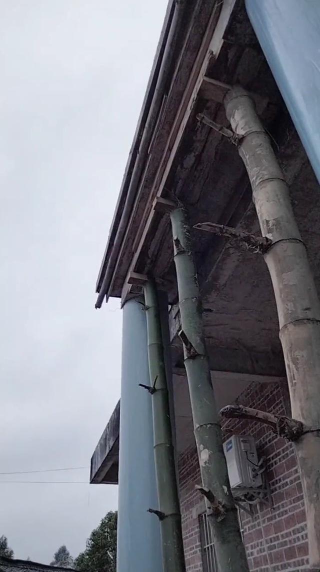 主播感謝粉絲陪伴的話術，主播感謝粉絲的短句？