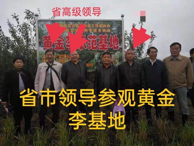 現(xiàn)在干什么行業(yè)賺錢最快成本低（現(xiàn)在干什么行業(yè)賺錢最快兼職）