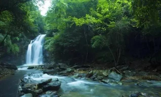 適合農(nóng)村集市的小生意（夏天集市賣什么賺錢）