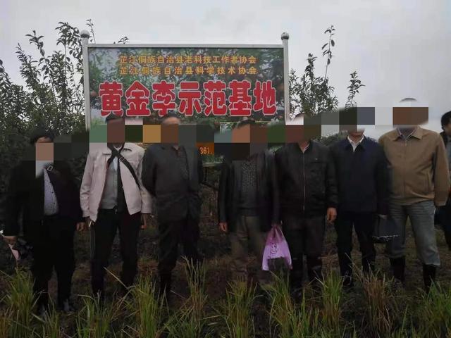 農(nóng)村辦廠政府扶持項(xiàng)目有哪些政策（農(nóng)村辦廠政府扶持項(xiàng)目有哪些補(bǔ)貼）
