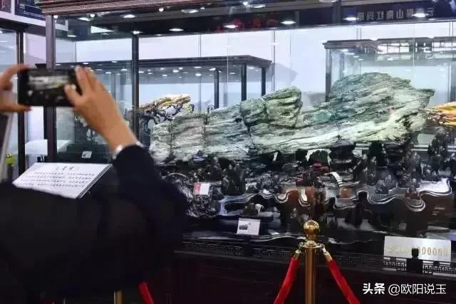 樹化石價格及圖片（樹化石值多少錢一個）