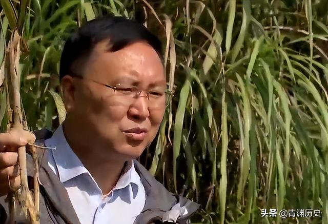 走投無路了找快速賺錢路子2020（走投無路了怎么快速賺錢）