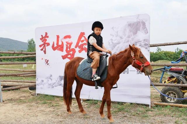 關于騎馬的朋友圈文字，朋友圈一匹馬配文字？