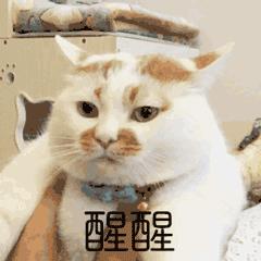 無(wú)成本的賺錢方法視頻（無(wú)成本的賺錢方法圖片）