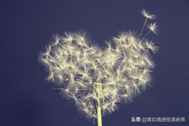 被拉黑還能看到他的朋友圈嗎，被拉黑為什么還能看到對方朋友圈？