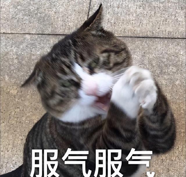 做短視頻_素材不知道去哪找_這幾個(gè)我常用的網(wǎng)站分享你，在哪里制作短視頻
