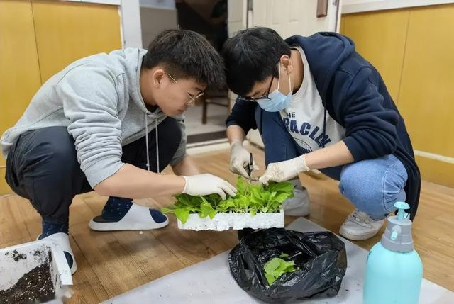 縣城煙草公司工資多少錢一個(gè)月?。h級(jí)煙草公司的工資一個(gè)月大概多少）