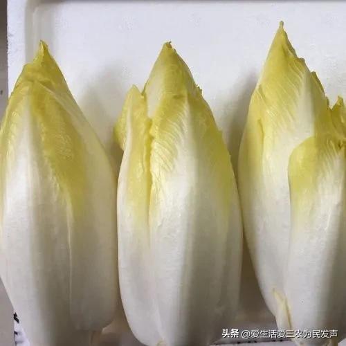 農村一個人干啥掙錢快呢（農村一個人做什么掙錢）