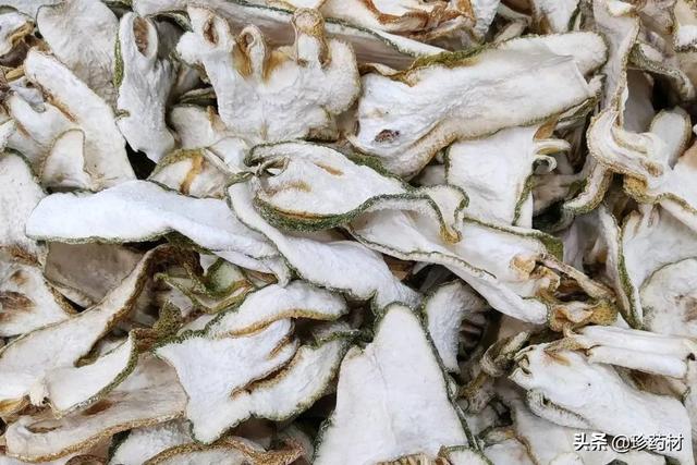 金蟬花多少錢一斤（新鮮金蟬花多少錢一斤）