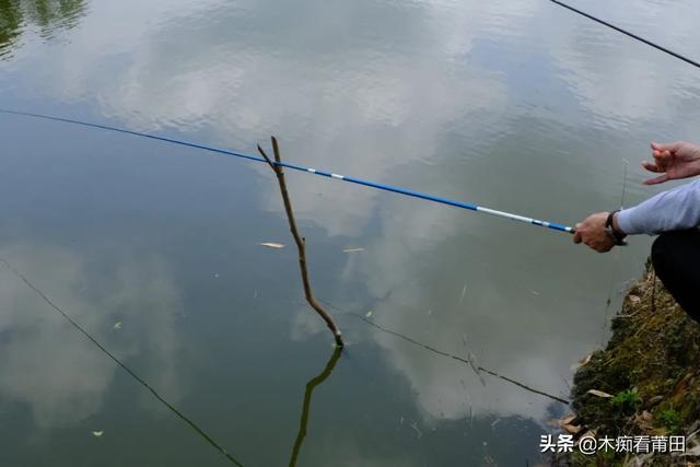 莆田小魚網(wǎng)純莆天地（莆田小魚網(wǎng)招聘最新招聘信息）